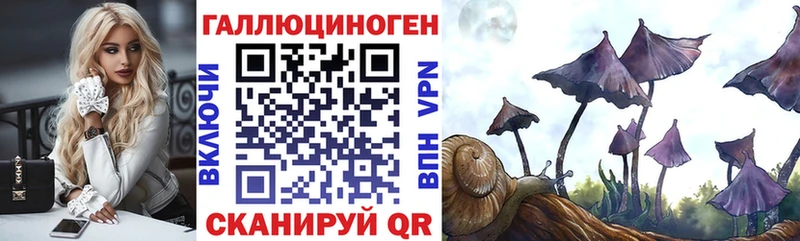 Галлюциногенные грибы Cubensis Азнакаево