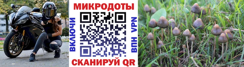 Галлюциногенные грибы MAGIC MUSHROOMS что такое наркотик Азнакаево